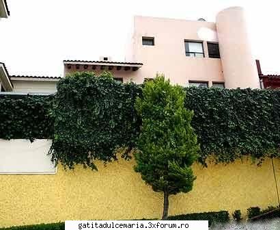 casa lui any - bombona_dulce_girl - Anahi